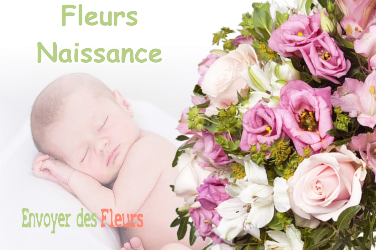 lIVRAISON FLEURS NAISSANCE à ENTRE-DEUX-MONTS